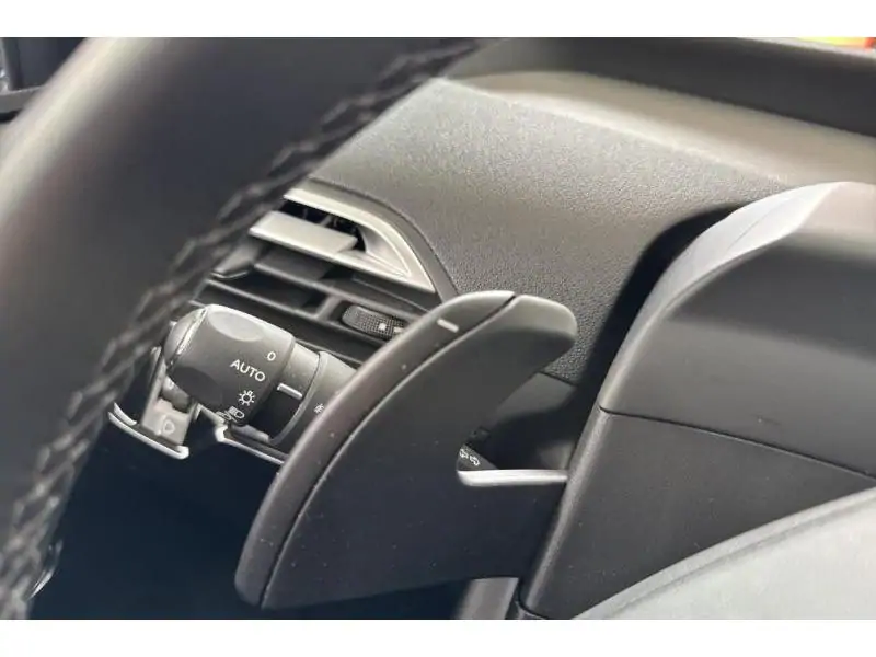 Occasion Citroen Grand C4 SpaceTourer Shine BLUE 29