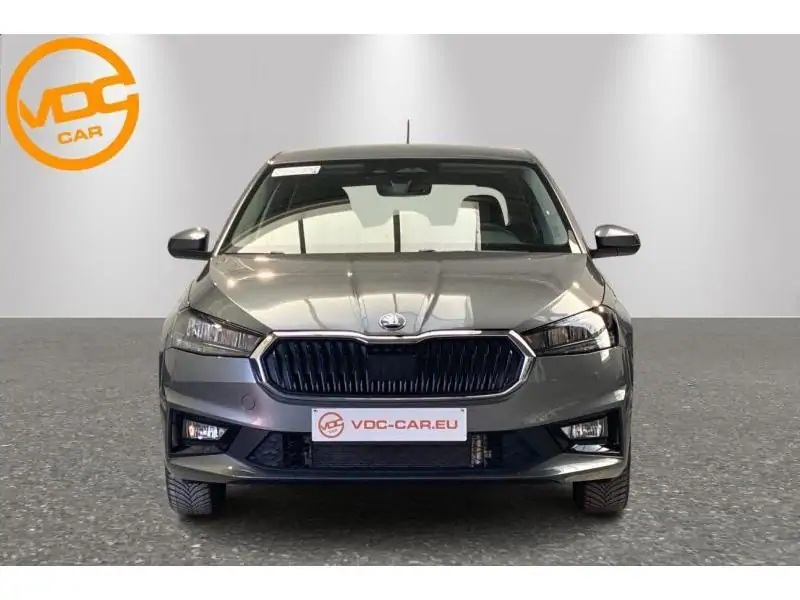 Occasion Skoda Fabia Selection GREY 5