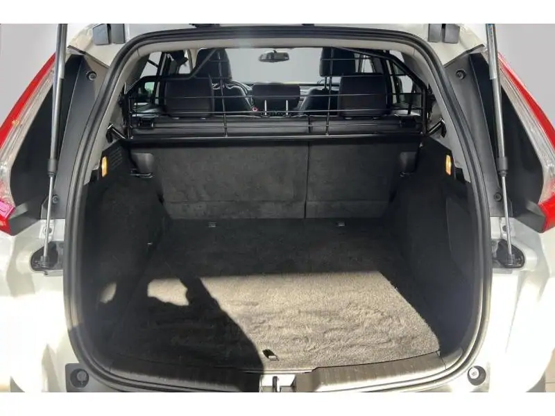 Occasion Honda CR-V Lifestyle WHITE 19