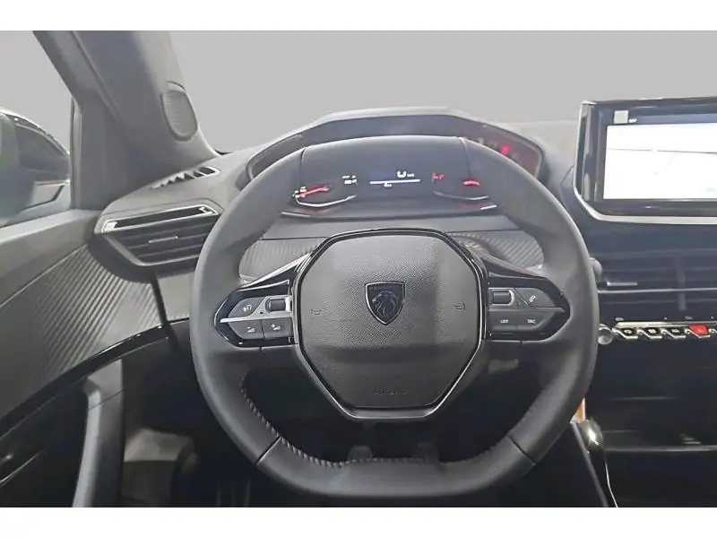 VEHICLE__CONDITION_SERVICE Peugeot 2008 ACTIVE GREY 12