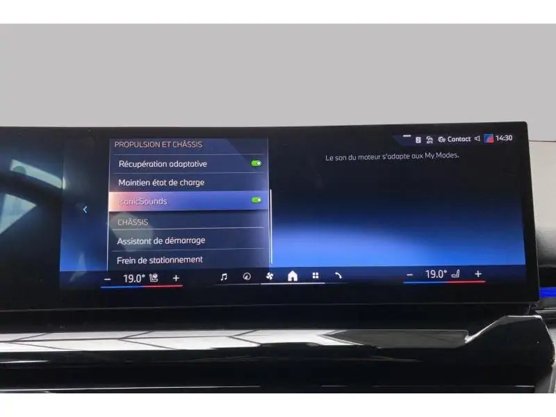 Occasion BMW Serie 5 530 xDrive - M Sport Package Pro - GREY 38