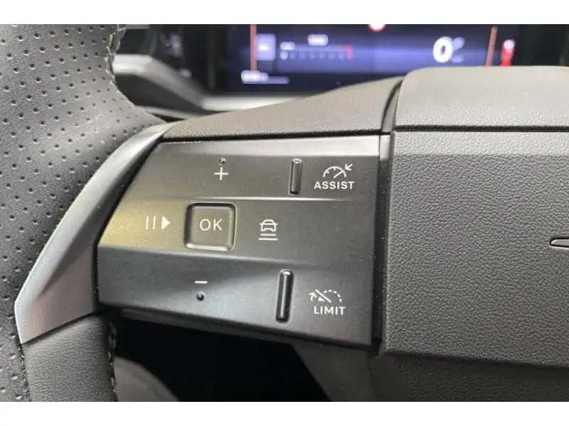 VEHICLE__CONDITION_SERVICE Opel Grandland GS *Dispo SEPT25 GREY 23