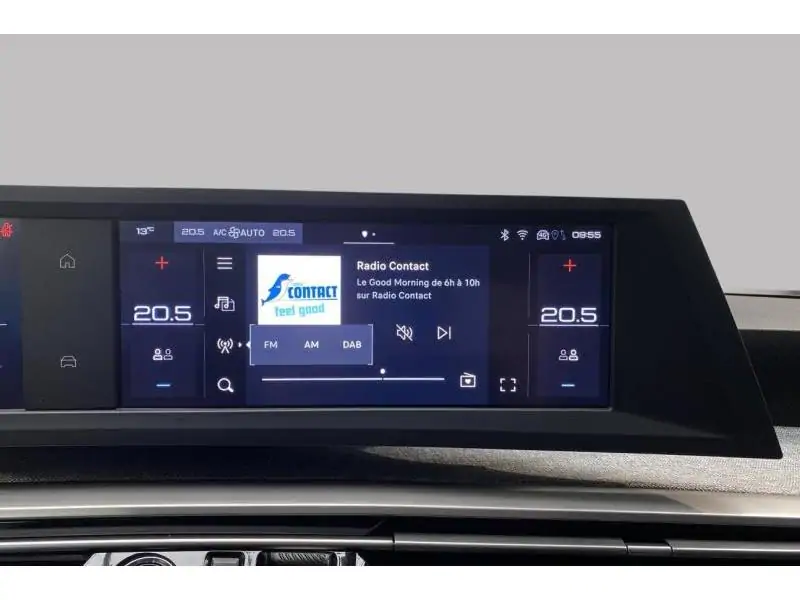 Occasion Peugeot 5008 Allure - Hybrid - 7 Places GREY 29