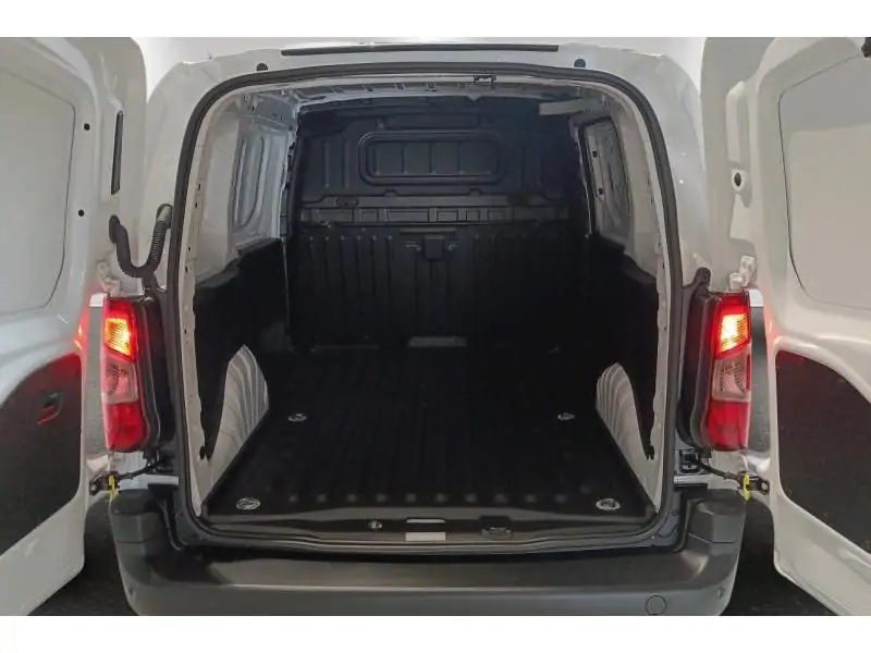 VEHICLE__CONDITION_SERVICE Citroen Berlingo Van M Light WHITE 19