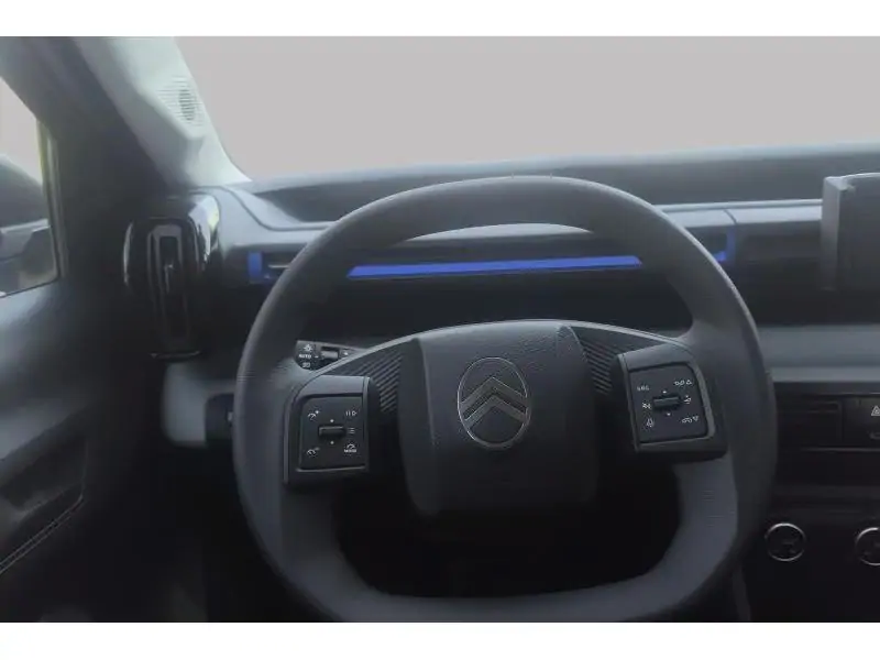 VEHICLE__CONDITION_SERVICE Citroen C3 and ë- IV You BLUE 12