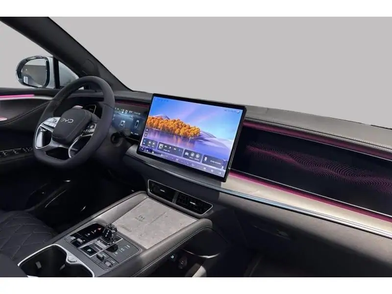 VEHICLE__CONDITION_SERVICE BYD SEALION 7 Excellence AWD GREY 2