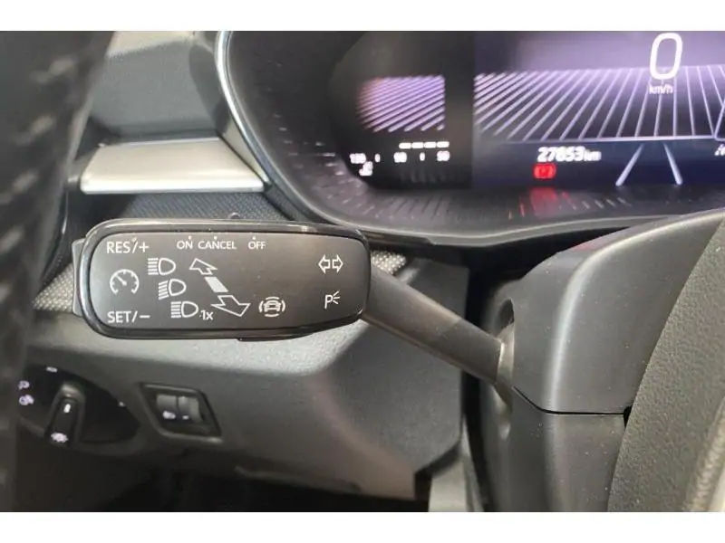 Occasion Skoda Fabia Selection GREY 28