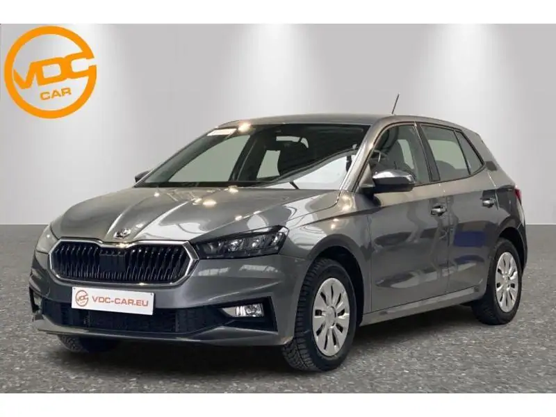 Occasion Skoda Fabia Selection 1.0 TSI DSG GREY 1