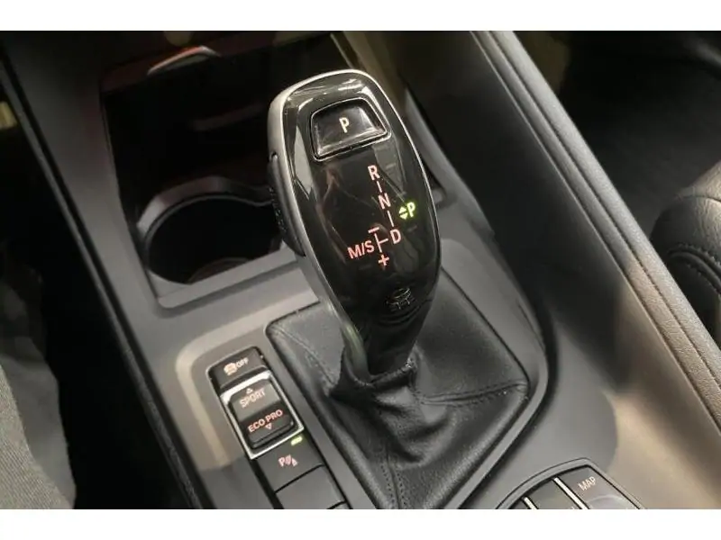 Occasion BMW Serie X X1 sDrive16dA BLACK 16