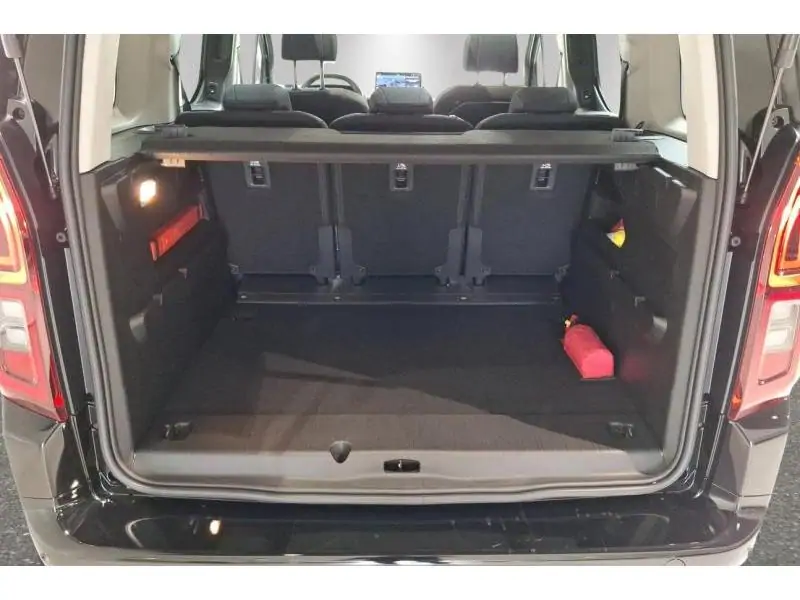 VEHICLE__CONDITION_SERVICE Fiat Doblo Small 1.2 110 BLACK 19