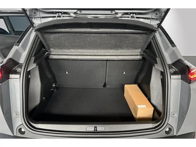 VEHICLE__CONDITION_SERVICE Peugeot 2008 ENVY GREY 19