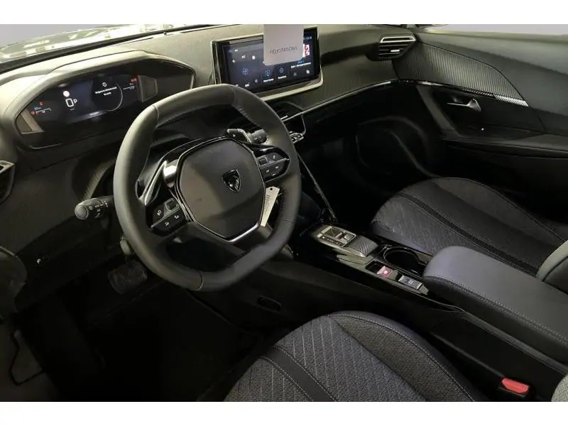 VEHICLE__CONDITION_SERVICE Peugeot 2008 ENVY GREY 9