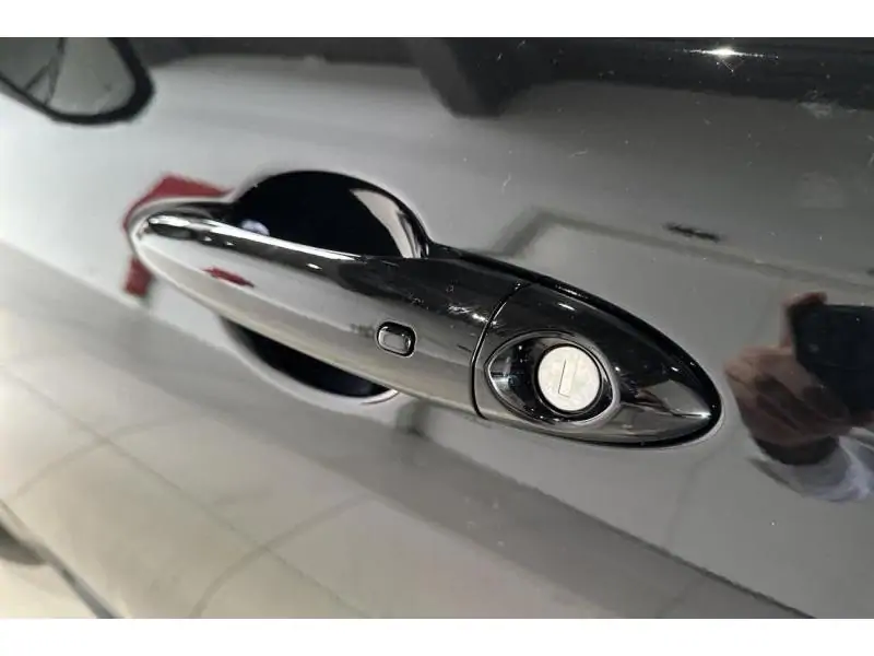 VEHICLE__CONDITION_SERVICE Alfa Romeo Tonale Ibrida Hybrid 160 Sprint BLACK 21