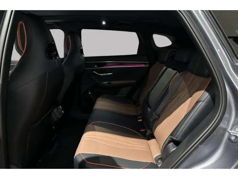 VEHICLE__CONDITION_SERVICE BYD Seal U DM-I BOOST  vrij 08/2026 GREY 18