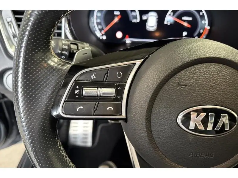Occasion Kia Pro Ceed and Pro /Pro GREY 25