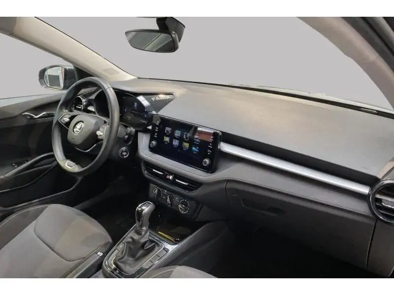 Occasion Skoda Fabia Selection GREY 2