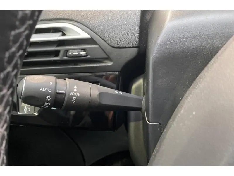 Occasion Citroen C4 SpaceTourer Shine BLUE 29