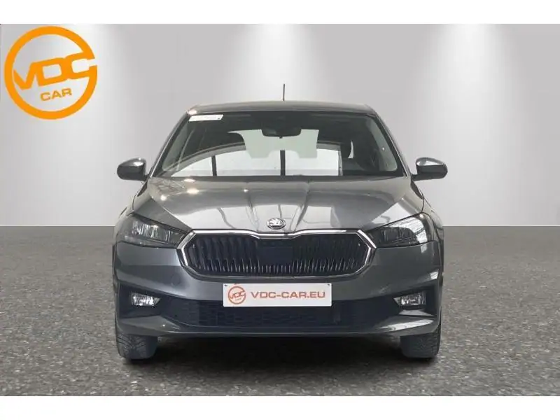 Occasion Skoda Fabia Selection GREY 5