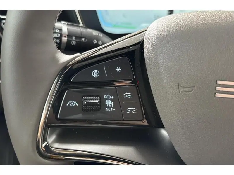 Occasion BYD HAN Executive AWD GREY 35