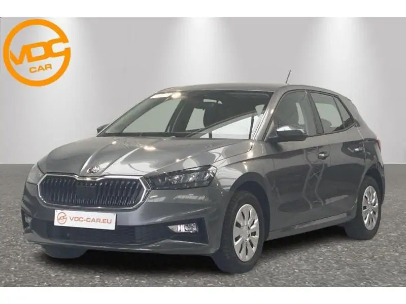 Occasion Skoda Fabia Selection GREY 1