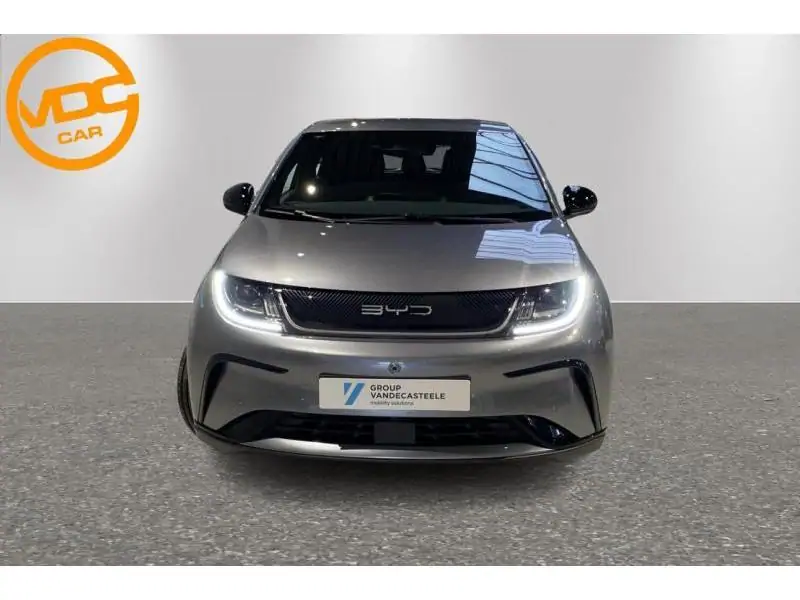 VEHICLE__CONDITION_SERVICE BYD DOLPHIN COMFORT GREY 6