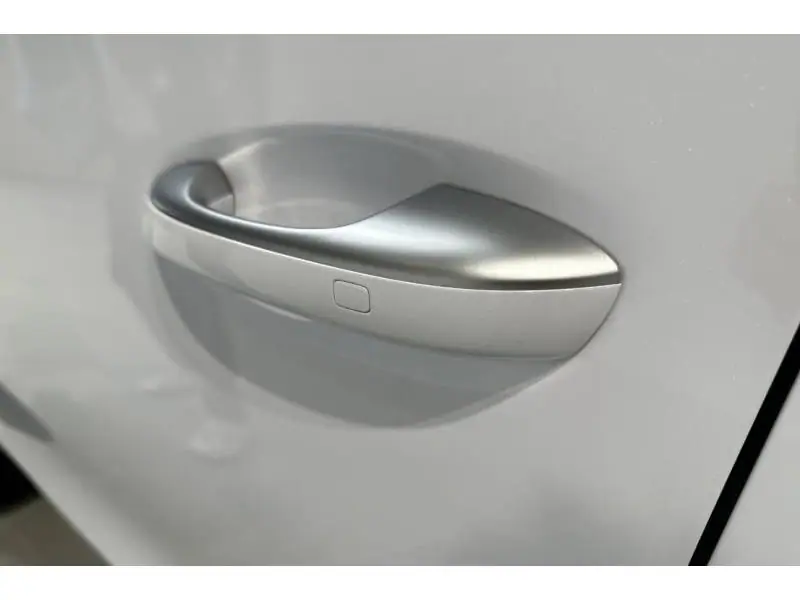 VEHICLE__CONDITION_SERVICE BYD TANG AWD 7 SEAT  vrij 30/01/26 WHITE 21