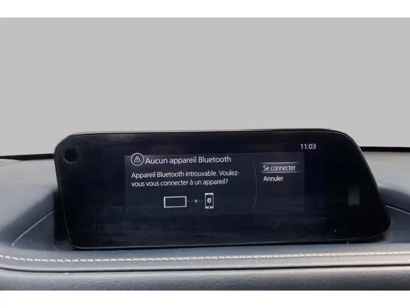 Occasie Mazda CX-30 Caméra de recul*GPS*Jantes alu* GREY 33