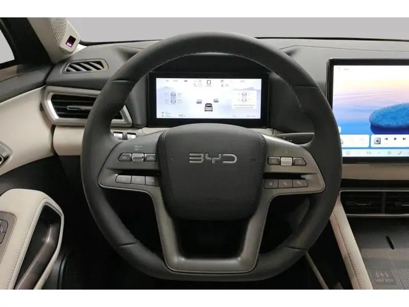 VEHICLE__CONDITION_SERVICE BYD ATTO 2 DMI BOOST GREY 12