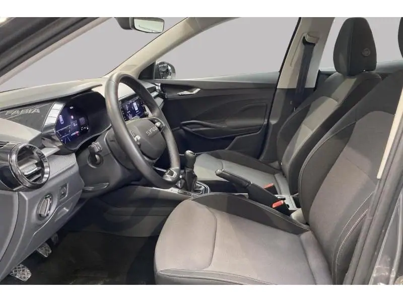 Occasion Skoda Fabia Selection GREY 10