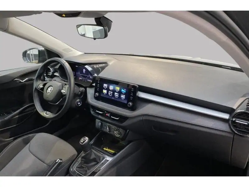 Occasion Skoda Fabia Selection 1.0i GREY 2