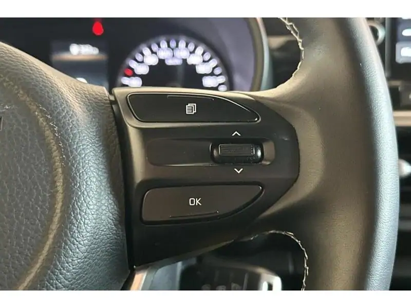 Occasion Kia Picanto Pulse - GPS - Camera RED 15