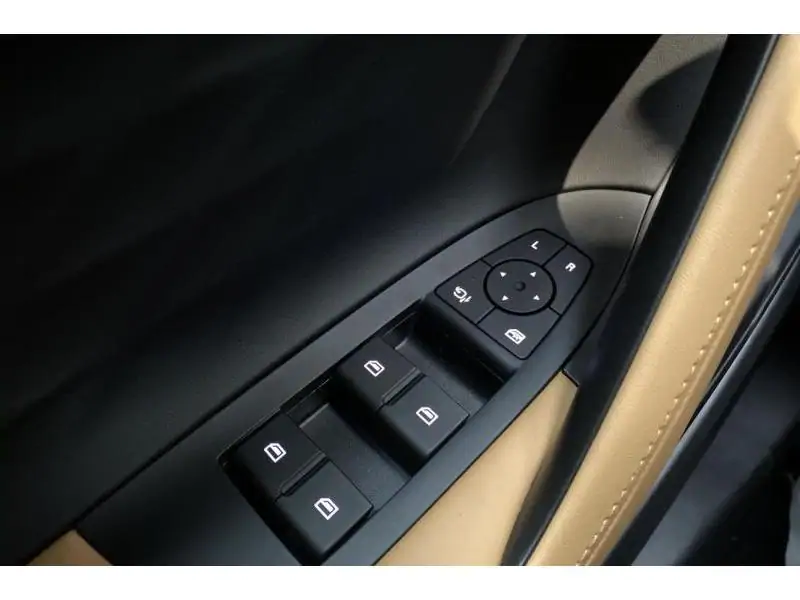 Occasion MG HS LUXURY 1.5 PHEV BLACK 17