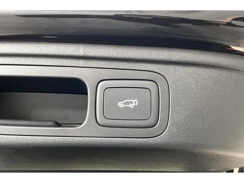 Occasion MG HS LUXURY 1.5 PHEV BLACK 21