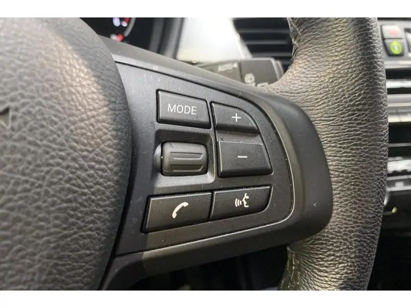 Occasion BMW Serie X X1 sDrive16d GREY 24