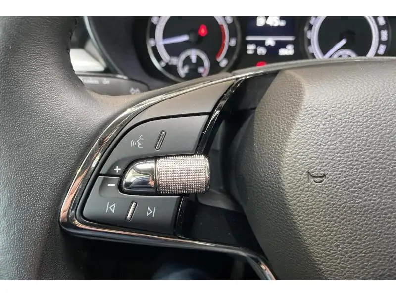 Occasion Skoda Fabia Ambition GREY 22