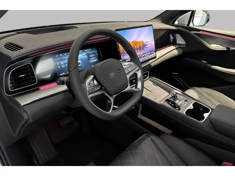 VEHICLE__CONDITION_SERVICE BYD SEALION 7 Excellence AWD GREY 9