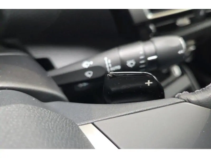 Occasion Citroen C4 SHINE and PACK BLACK 24