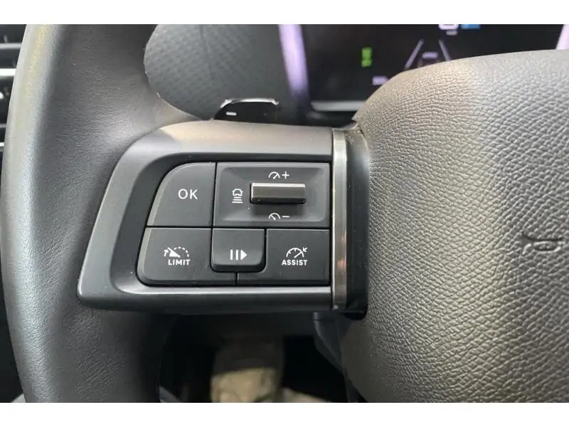 Occasion Citroen C4 Max GREY 25