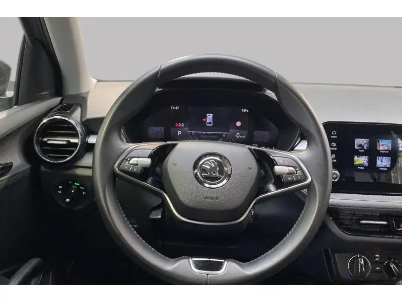 Occasion Skoda Fabia Selection GREY 12