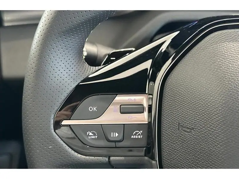 VEHICLE__CONDITION_SERVICE Peugeot 308 GT 1.6 Plug-in Hybrid 180 pk WHITE 22