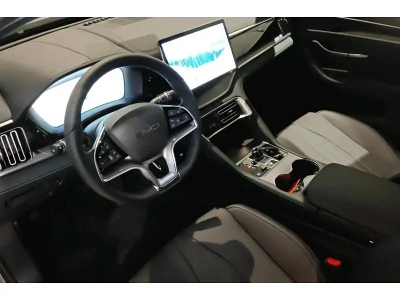 VEHICLE__CONDITION_SERVICE BYD Seal U COMFORT GREY 9