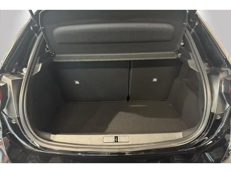 VEHICLE__CONDITION_SERVICE Opel Corsa GS BLACK 19