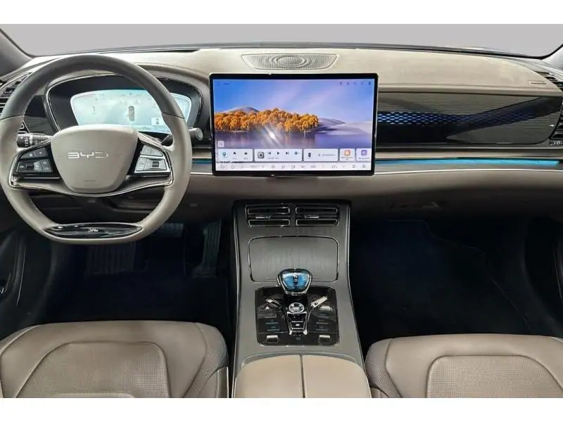 Occasion BYD HAN Executive AWD GREY 11