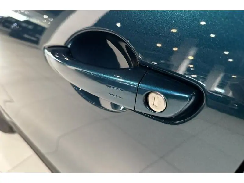 VEHICLE__CONDITION_SERVICE Fiat 600 Hybrid GREEN 21
