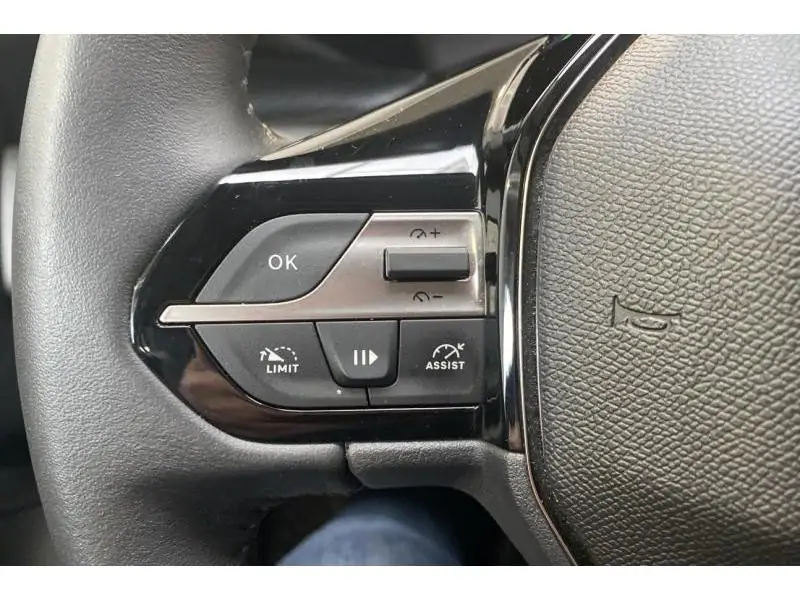 Occasion Peugeot 308 ACTIVE BLACK 21