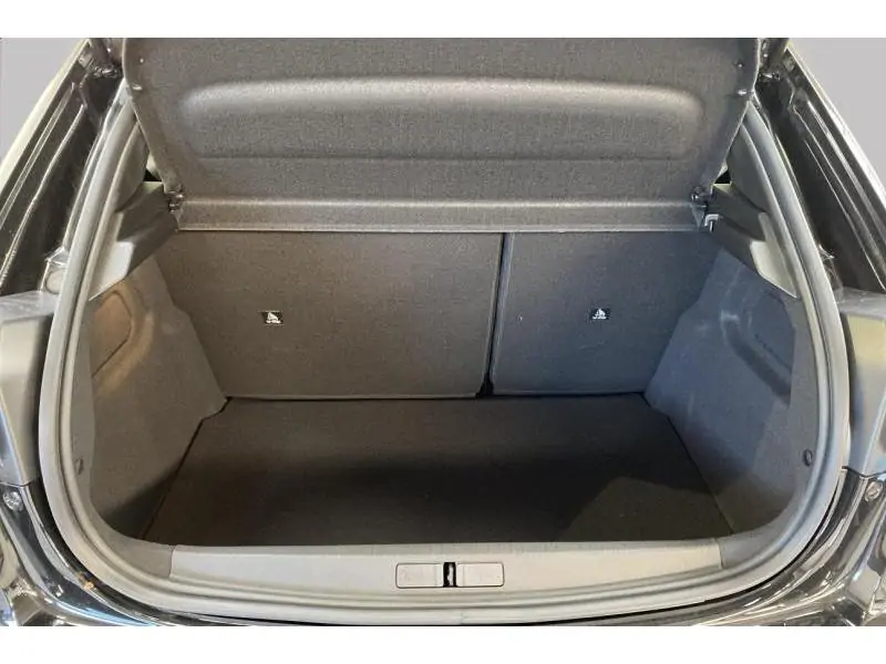 VEHICLE__CONDITION_SERVICE Peugeot 208 ENVY*DISPO 06/2026 BLACK 19