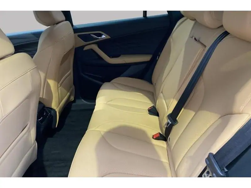 Occasion MG HS LUXURY 1.5 PHEV BLACK 18