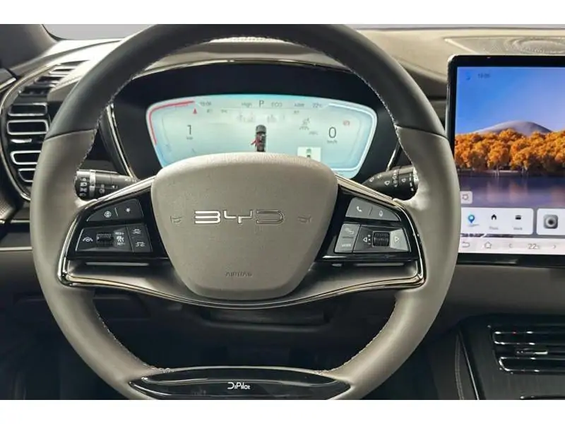 Occasion BYD HAN Executive AWD GREY 12