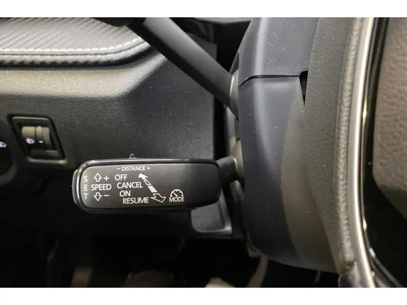 Occasion Skoda Fabia Monte Carlo GREY 25