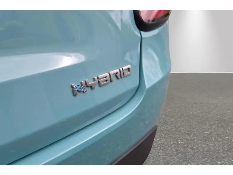 Occasion Fiat 600 POP GREEN 22